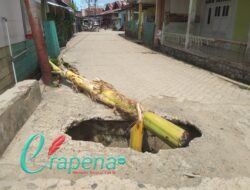Plat Deker Berlubang, Warga Desa Bajo Resah Tanami Pohon Pisang