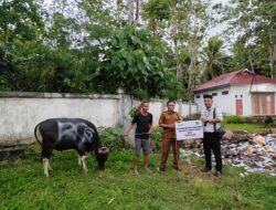Rutinitas Tahunan, BSG TILAMUTA Serahkan Hewan Kurban Ke Pemda Boalemo