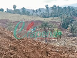 Aktivitas PETI Dulupi Menggila, Riyan Niuwa Tagih Penindakan Dari APH