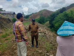 Dorong Pendapatan Petani, Pemkab Boalemo Hadirkan Program Terasering 