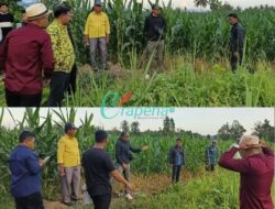 Miris ! 6 Aleg DPRD Boalemo Temukan Dugaan Penyerobotan JUT Oleh PT PG Gorontalo