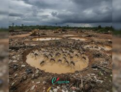 Kasus Malaria, Aktivitas PETI Disinggung dalam RDP DPRD Boalemo