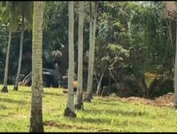 Menunggu Perintah di Tengah Aktivitas Tambang: Ada Apa dengan Penanganan di Dulupi?