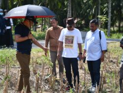 Pastikan Program PAHAM Tepat Sasaran, Wabup Lahmuddin Tinjau Lahan Durian