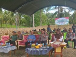 Sekda Boalemo: Jagung Komoditas Unggulan Daerah