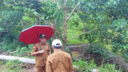 Langkah Nyata Atasi Banjir, Wabup Lahmuddin Tinjau Lokasi Embung di Mohungo