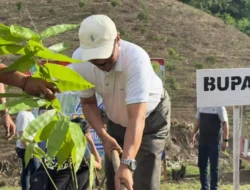 Tanam Bambu Petung Massal, Pemkab Boalemo Siapkan Komoditas Ekspor