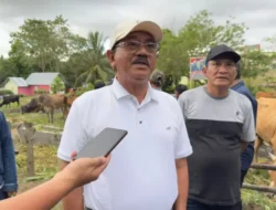 Boalemo Dapat Jatah 20 Ribu Dosis Semen Beku per Tahun, Siap Cetak Sapi Unggulan
