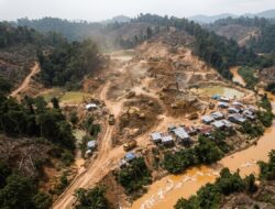 PETI Molili’ulo Kembali Disorot, Empat Alat Berat Diduga Masuk Lewat Wonosari