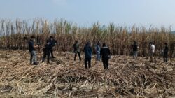 Penemuan Kerangka Manusia Menggemparkan Warga, Sejumlah Barang Turut Ditemukan