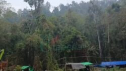 Dugaan PETI di Boalemo Menguat, Sejumlah Nama Disebut