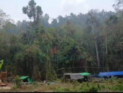 Dugaan PETI di Boalemo Menguat, Sejumlah Nama Disebut